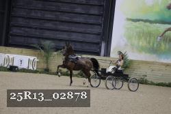 25R13_02878 thumbnail