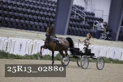 25R13_02880 thumbnail