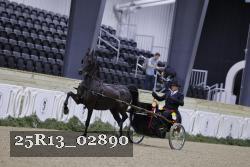 25R13_02890 thumbnail