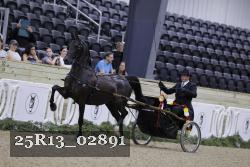 25R13_02891 thumbnail