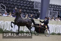 25R13_02892 thumbnail