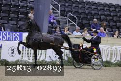 25R13_02893 thumbnail