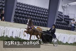25R13_02898 thumbnail