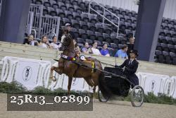 25R13_02899 thumbnail