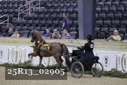 25R13_02905 thumbnail