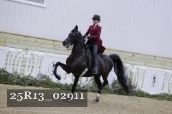 25R13_02911 thumbnail