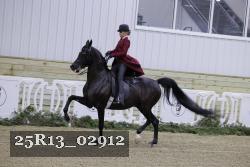 25R13_02912 thumbnail
