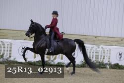 25R13_02913 thumbnail