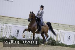 25R13_02914 thumbnail