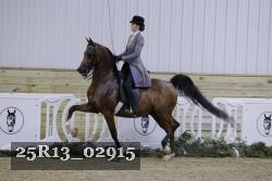 25R13_02915 thumbnail