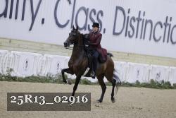 25R13_02916 thumbnail