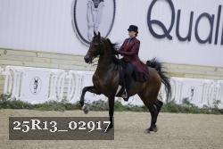 25R13_02917 thumbnail