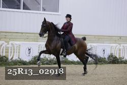 25R13_02918 thumbnail