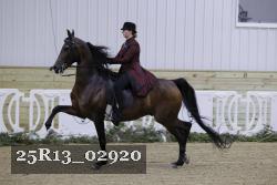 25R13_02920 thumbnail