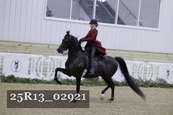25R13_02921 thumbnail