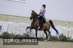 25R13_02922 thumbnail