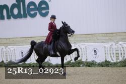 25R13_02923 thumbnail