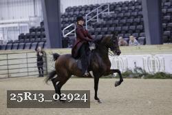 25R13_02924 thumbnail