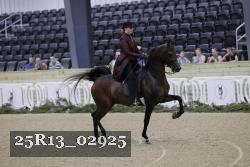 25R13_02925 thumbnail