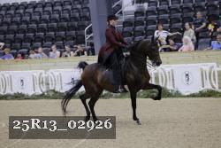 25R13_02926 thumbnail