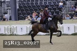 25R13_02927 thumbnail