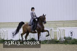 25R13_02928 thumbnail
