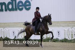 25R13_02930 thumbnail
