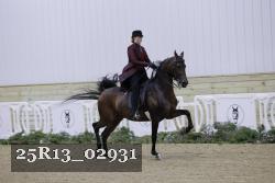 25R13_02931 thumbnail