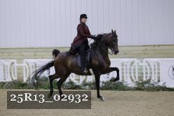 25R13_02932 thumbnail