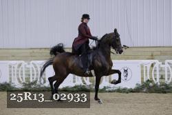 25R13_02933 thumbnail