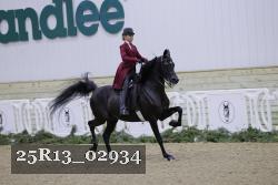 25R13_02934 thumbnail