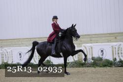 25R13_02935 thumbnail