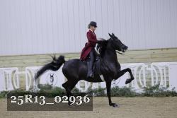 25R13_02936 thumbnail