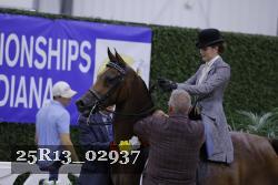 25R13_02937 thumbnail