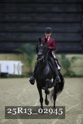 25R13_02945 thumbnail