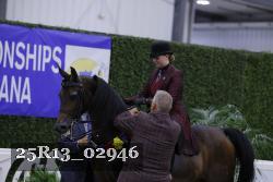 25R13_02946 thumbnail