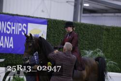 25R13_02947 thumbnail