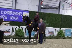 25R13_02951 thumbnail