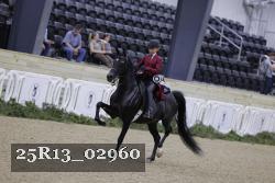 25R13_02960 thumbnail