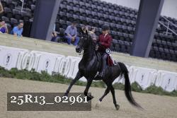 25R13_02961 thumbnail