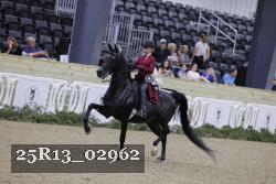 25R13_02962 thumbnail