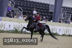 25R13_02963 thumbnail