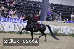 25R13_02964 thumbnail
