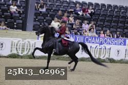 25R13_02965 thumbnail