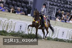 25R13_02968 thumbnail