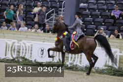 25R13_02974 thumbnail