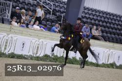 25R13_02976 thumbnail