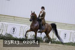 25R13_02984 thumbnail