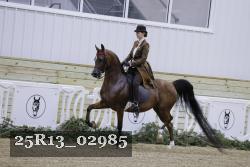 25R13_02985 thumbnail