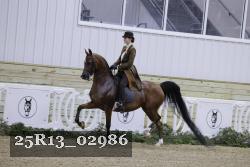 25R13_02986 thumbnail